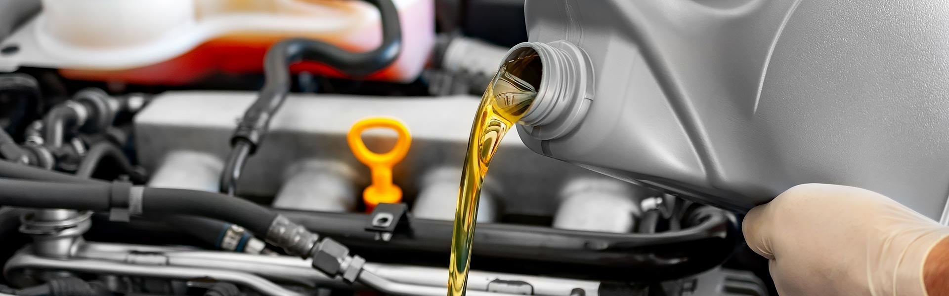 Oil change service in Clearwater, FL